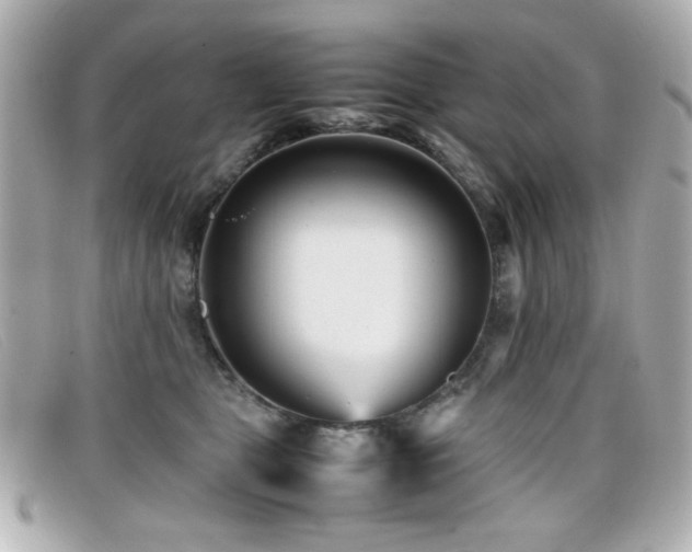 X0000099430469200805091254