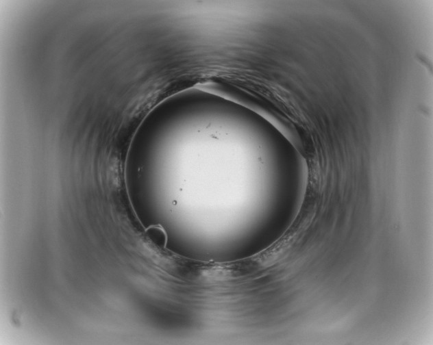 X0000099430470200805091254