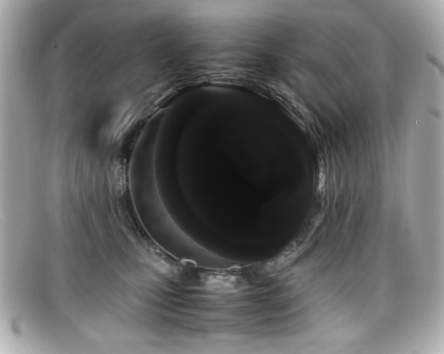 X0000099430471200805091254