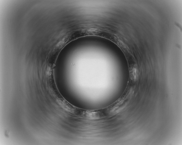 X0000099430472200805091254