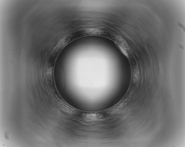 X0000099430473200805091254