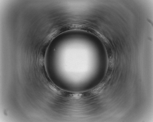 X0000099430474200805091254