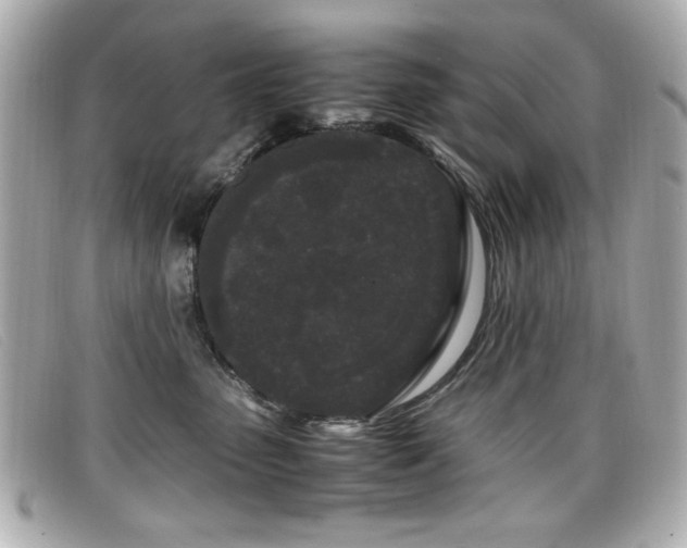 X0000099430475200805091254