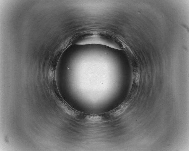 X0000099430476200805091254