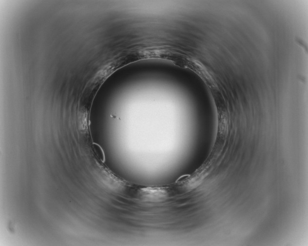 X0000099430477200805091254