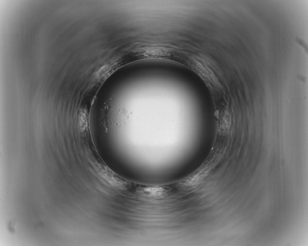 X0000099430478200805091254