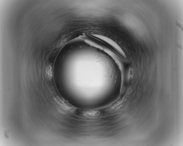 X0000099430479200805091254