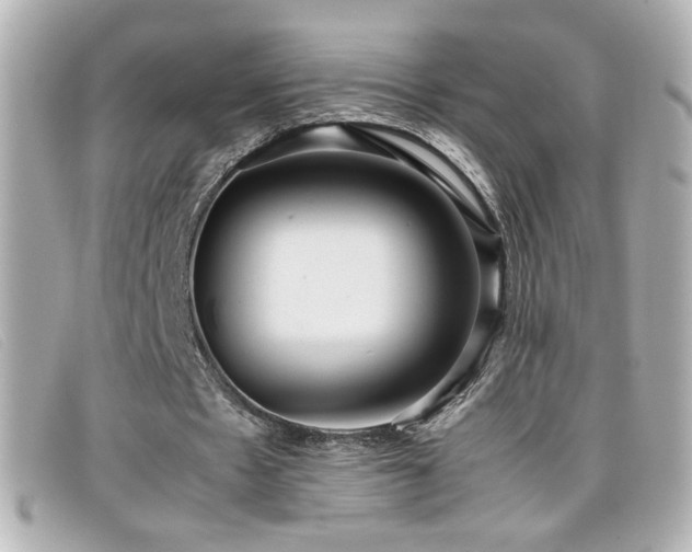 X0000099430481200805091253