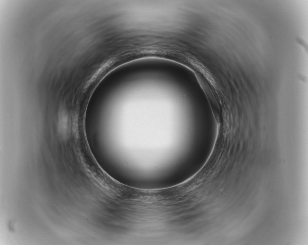 X0000099430482200805091253