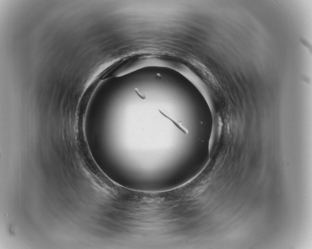 X0000099430484200805091253