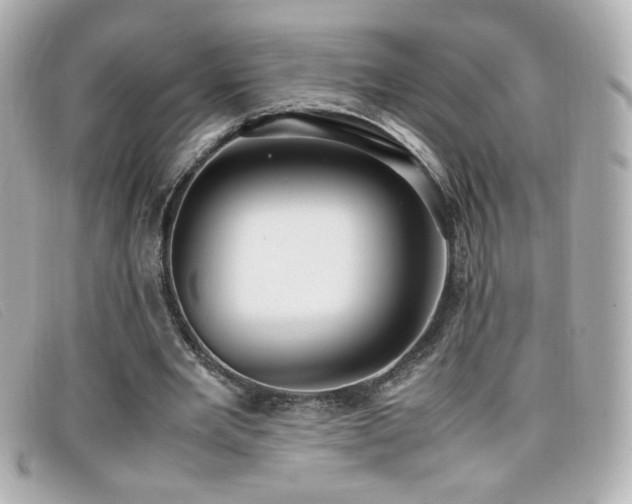 X0000099430485200805091253