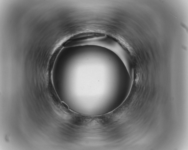 X0000099430488200805091253