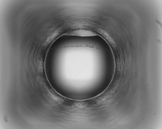 X0000099430489200805091253
