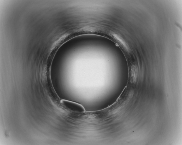 X0000099430492200805091253