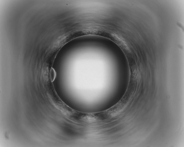 X0000099430498200805091253