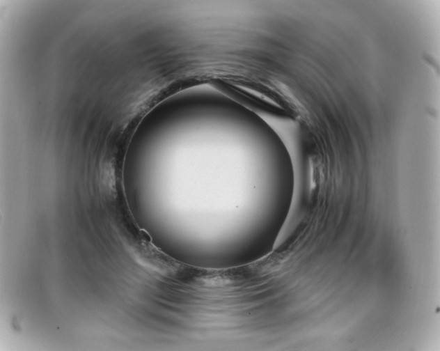 X0000099430500200805091253