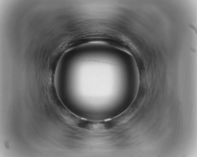X0000099430501200805091253