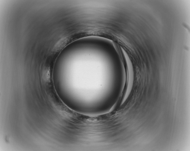 X0000099430502200805091253