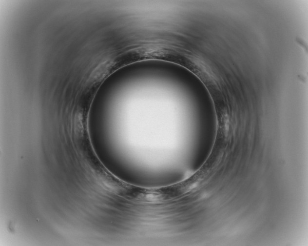 X0000099430506200805091253