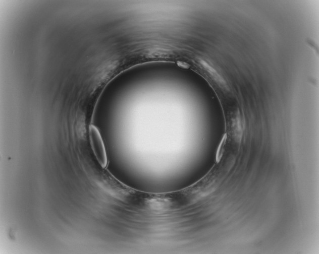 X0000099430508200805091253