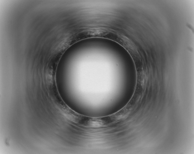 X0000099430510200805091253