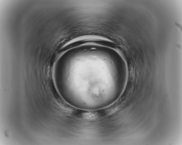 X0000099430511200805091253