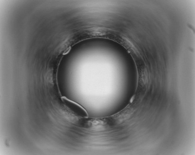 X0000099430512200805091253