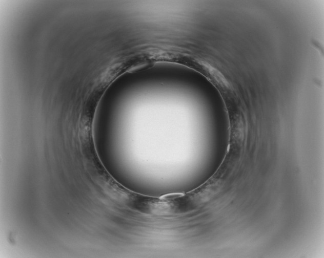 X0000099430513200805091253