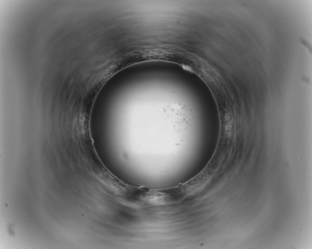 X0000099430514200805091253