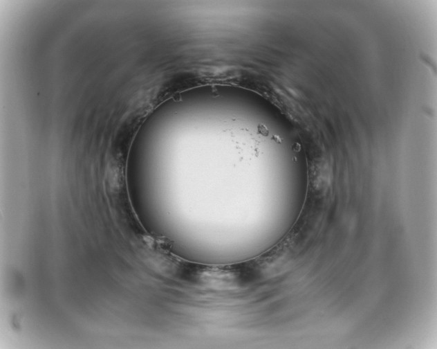 X0000099430515200805091253