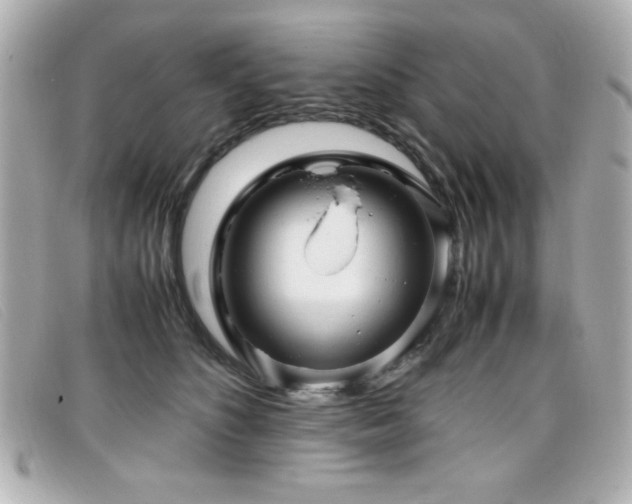X0000099430516200805091253