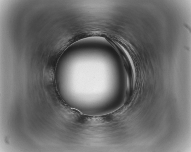 X0000099430517200805091253