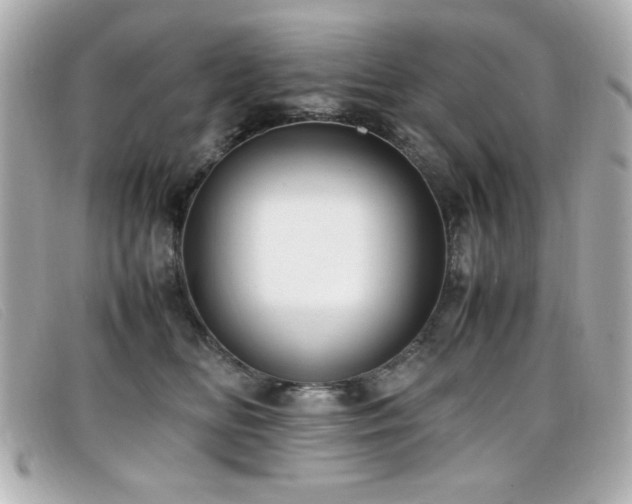 X0000099430518200805091253