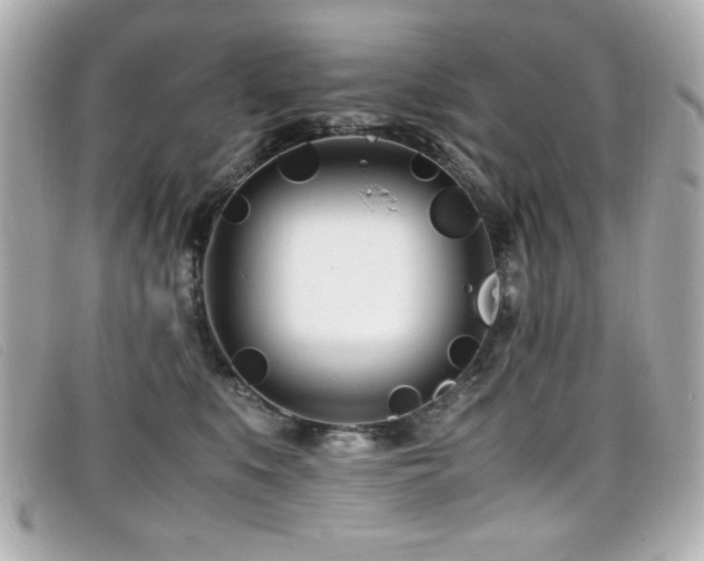X0000099430519200805091253