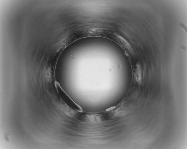 X0000099430520200805091253
