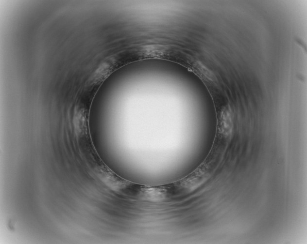X0000099430522200805091253