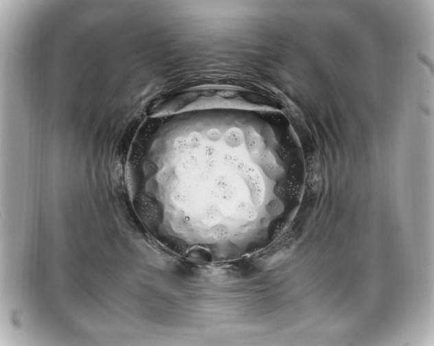 X0000099430523200805091253