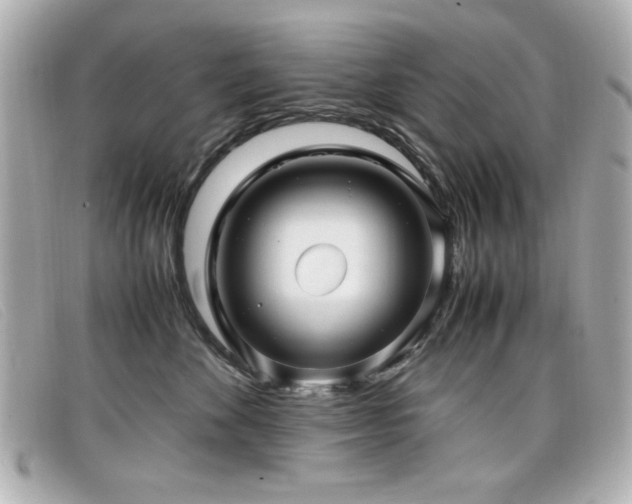 X0000099430524200805091253