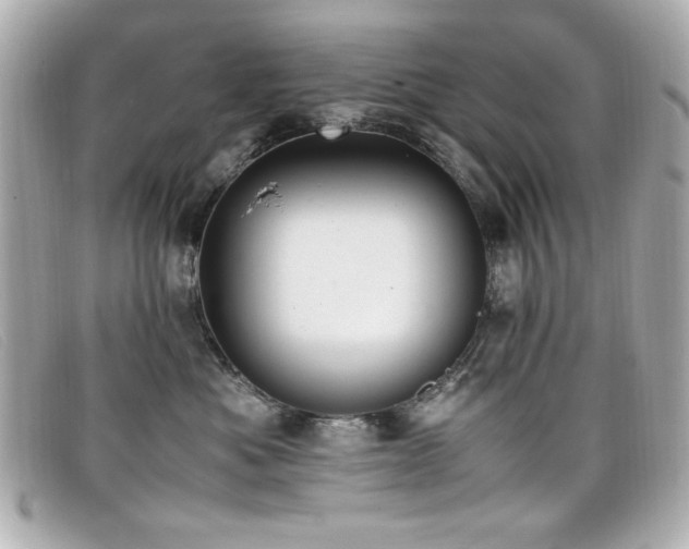 X0000099430525200805091253