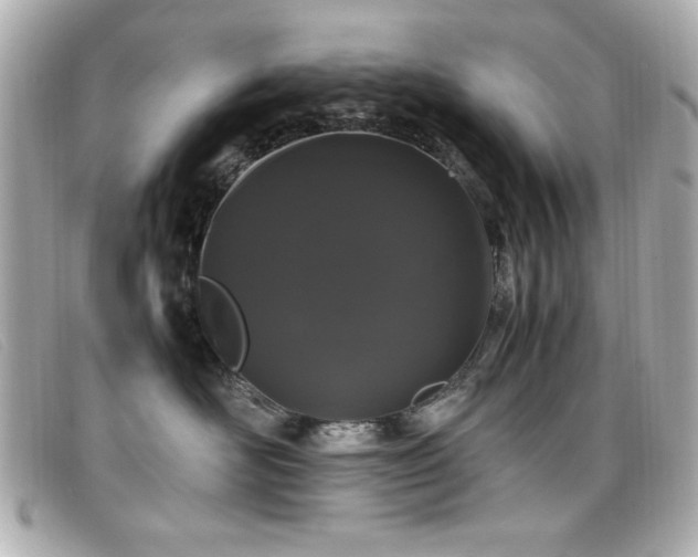 X0000099430526200805091253