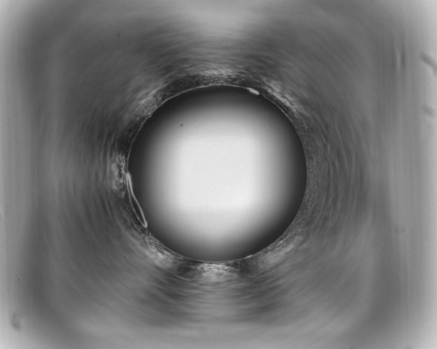 X0000099430528200805091253
