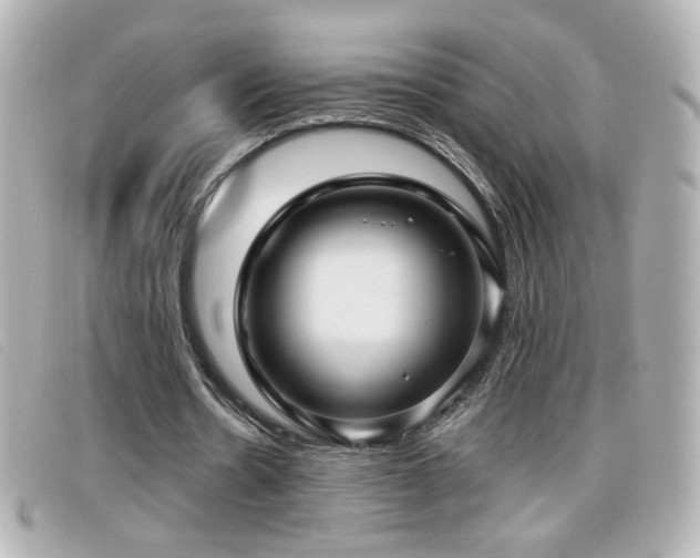 X0000099430530200805091252
