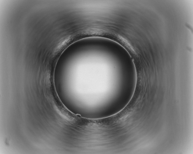 X0000099430538200805091252