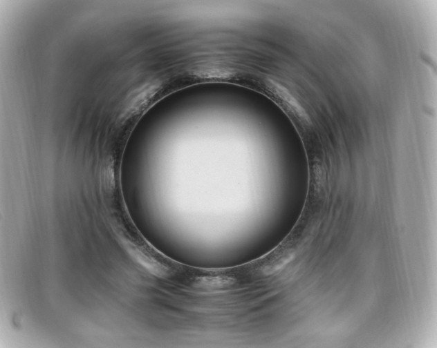 X0000099430541200805091252