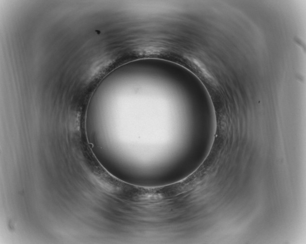X0000099430543200805091252