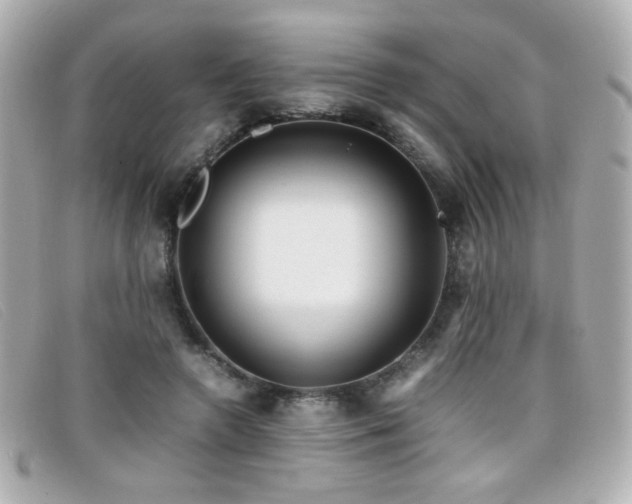 X0000099430546200805091252