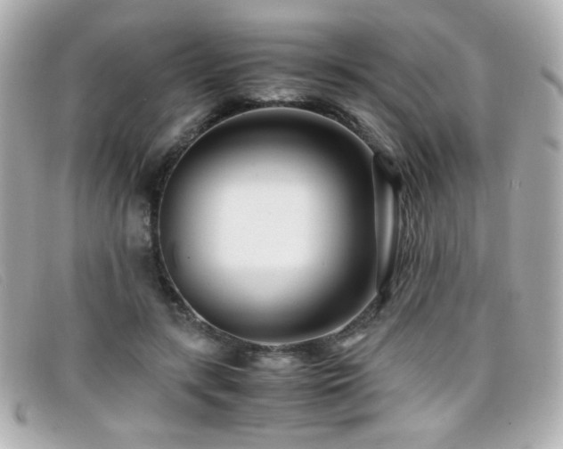 X0000099430547200805091252
