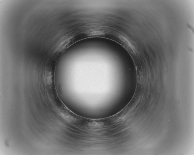 X0000099430549200805091252