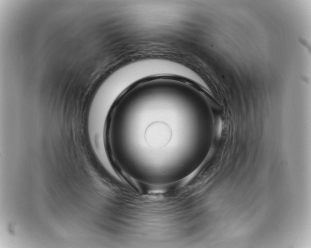 X0000099430552200805091252