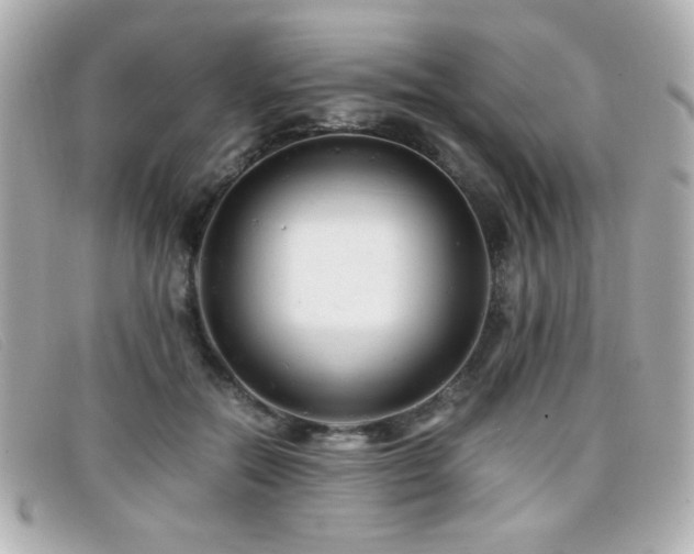 X0000099430554200805091252